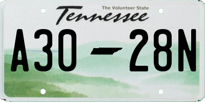 TN license plate A3028N