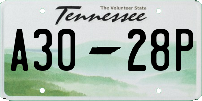 TN license plate A3028P