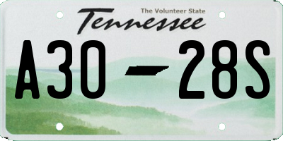 TN license plate A3028S