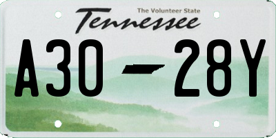 TN license plate A3028Y