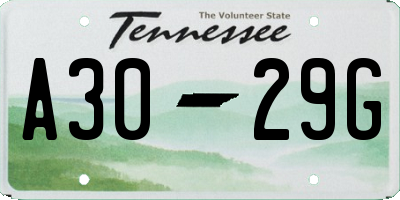 TN license plate A3029G