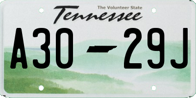 TN license plate A3029J