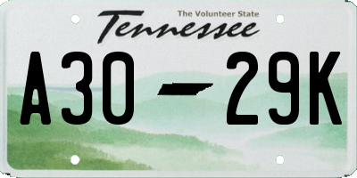 TN license plate A3029K