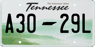 TN license plate A3029L