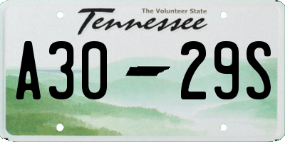 TN license plate A3029S