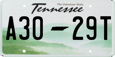 TN license plate A3029T