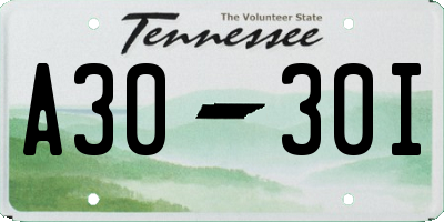TN license plate A3030I