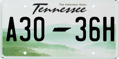 TN license plate A3036H