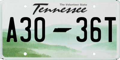 TN license plate A3036T