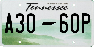 TN license plate A3060P