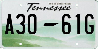 TN license plate A3061G