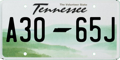 TN license plate A3065J