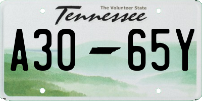 TN license plate A3065Y