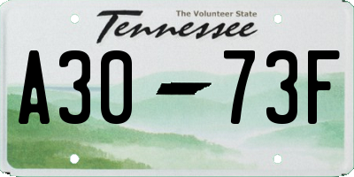 TN license plate A3073F