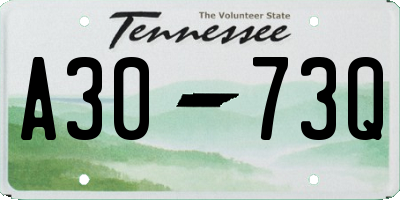 TN license plate A3073Q