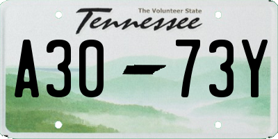 TN license plate A3073Y