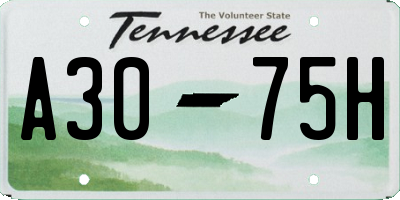 TN license plate A3075H