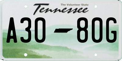 TN license plate A3080G