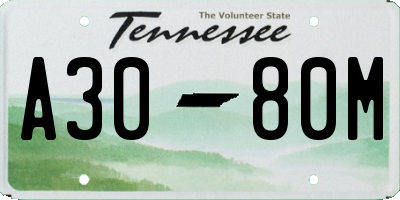 TN license plate A3080M