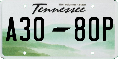 TN license plate A3080P