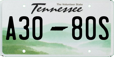 TN license plate A3080S