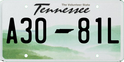 TN license plate A3081L