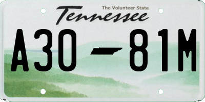 TN license plate A3081M