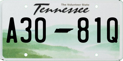 TN license plate A3081Q