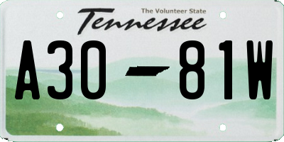 TN license plate A3081W