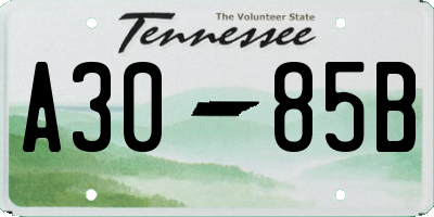 TN license plate A3085B