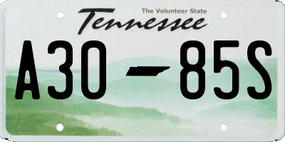 TN license plate A3085S