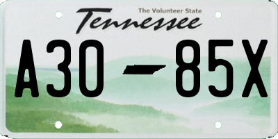 TN license plate A3085X