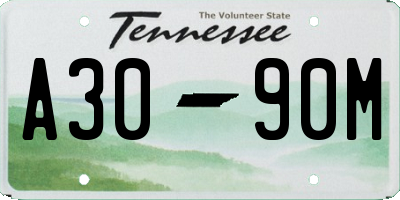 TN license plate A3090M