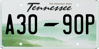 TN license plate A3090P