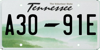 TN license plate A3091E