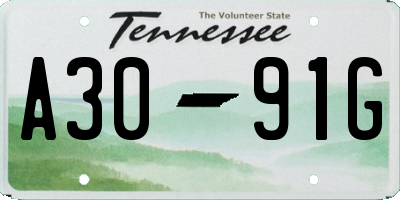TN license plate A3091G