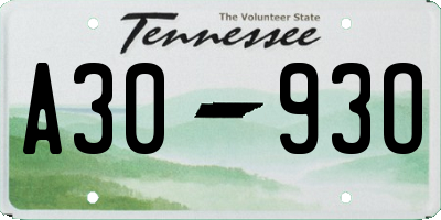 TN license plate A3093O