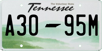 TN license plate A3095M