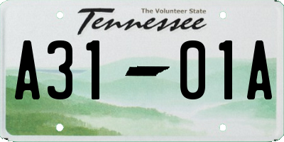 TN license plate A3101A
