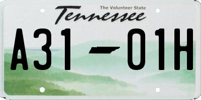 TN license plate A3101H