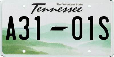 TN license plate A3101S