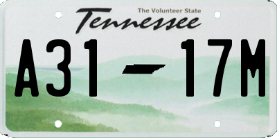TN license plate A3117M