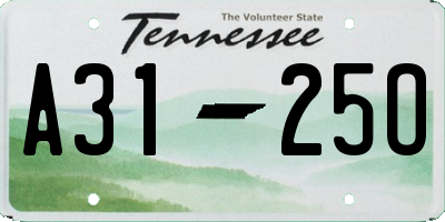 TN license plate A3125O