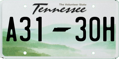 TN license plate A3130H