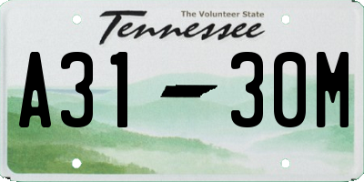 TN license plate A3130M