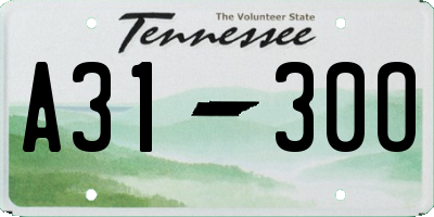 TN license plate A3130O