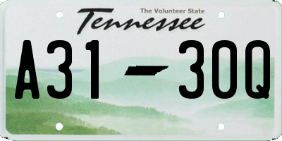TN license plate A3130Q