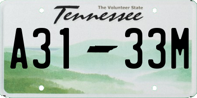 TN license plate A3133M