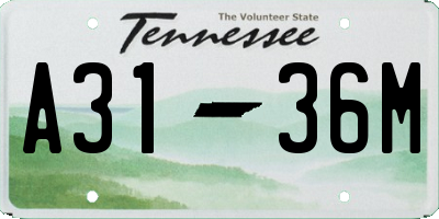 TN license plate A3136M
