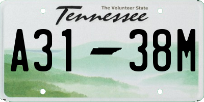 TN license plate A3138M